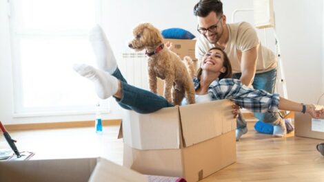 A couple playfully push around boxes with their dog during a move